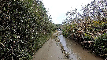 gx011065.mp4_snapshot_08.02_thumb.jpg