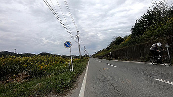 gx011067.mp4_snapshot_00.48_thumb.jpg