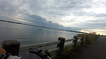 gx011081.mp4_snapshot_00.04_thumb.jpg