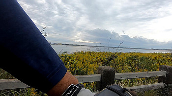 gx011081.mp4_snapshot_00.26_thumb.jpg