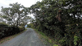 gx011083.mp4_snapshot_00.00_thumb.jpg