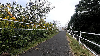 gx011097.mp4_snapshot_00.00_thumb.jpg