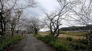 gx011097.mp4_snapshot_01.54_thumb.jpg