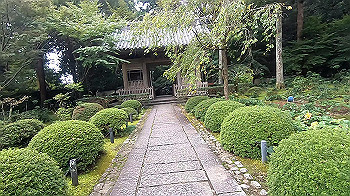 gx011103.mp4_snapshot_00.00_thumb.jpg