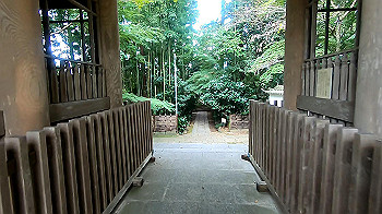gx011103.mp4_snapshot_00.13_thumb.jpg