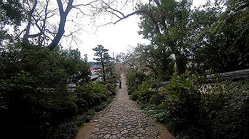 gx011103.mp4_snapshot_01.05_thumb.jpg