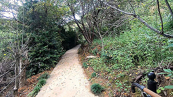 gx011107.mp4_snapshot_00.23_thumb.jpg