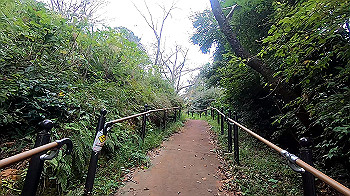 gx011107.mp4_snapshot_01.56_thumb.jpg