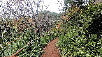 gx011107.mp4_snapshot_03.13_thumb.jpg