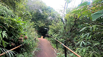 gx011107.mp4_snapshot_03.47_thumb.jpg
