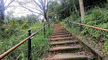 gx011107.mp4_snapshot_04.14_thumb.jpg