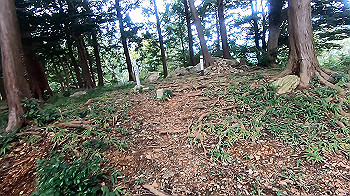gx011110.mp4_snapshot_00.00_thumb.jpg