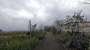 gx011113.mp4_snapshot_00.02_thumb.jpg