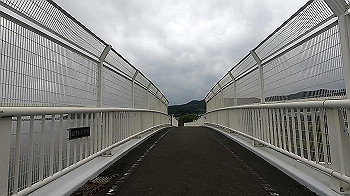gx011114.mp4_snapshot_00.21_thumb.jpg