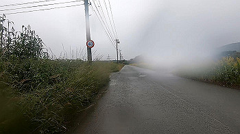 gx011121.mp4_snapshot_00.34_thumb.jpg
