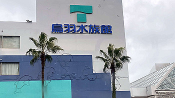 img_2594_thumb.jpg