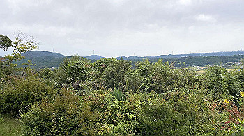 img_2781_thumb.jpg