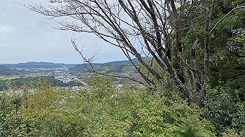 img_2783_thumb.jpg