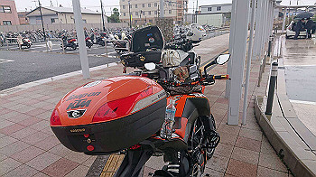 img_2859_thumb.jpg