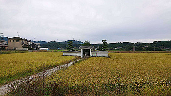 img_2871_thumb.jpg