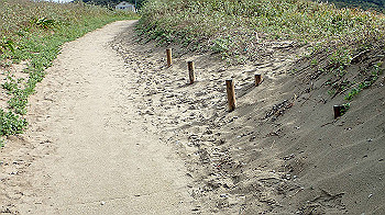 pa180050_thumb.jpg
