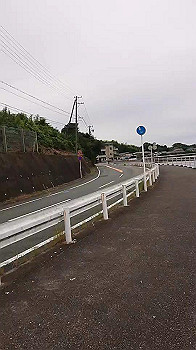 tmp_v4738524442661936641.mp4_thumb.jpg