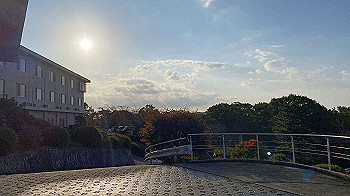 20201102_230125061_ios_thumb.jpg