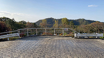 20201102_230536921_ios_thumb.jpg