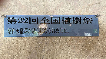 20201102_231024630_ios_thumb.jpg