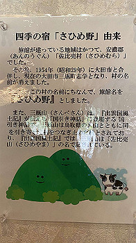 20201102_231050119_ios_thumb.jpg