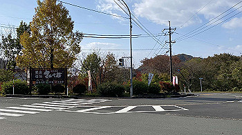 20201103_001721972_ios_thumb.jpg