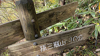20201103_004140955_ios_thumb.jpg