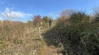 20201103_011916051_ios_thumb.jpg