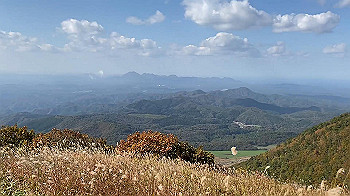 20201103_012220000_ios_x264.mp4_snapshot_00.00_thumb.jpg