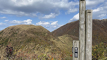 20201103_012354429_ios_thumb.jpg
