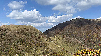20201103_013000620_ios_thumb.jpg