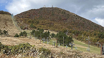 20201103_023743995_ios_thumb.jpg