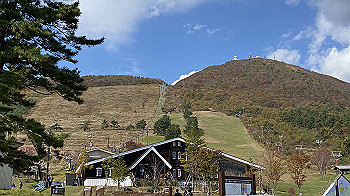 20201103_024213711_ios_thumb.jpg