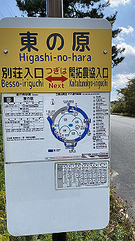 20201103_024954568_ios_thumb.jpg