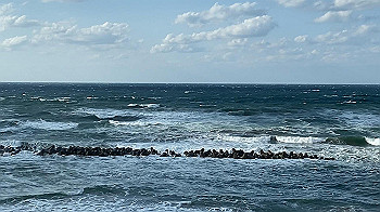 20201103_055606000_ios_x264.mp4_snapshot_00.00_thumb.jpg