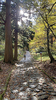 20201104_010640445_ios_thumb.jpg