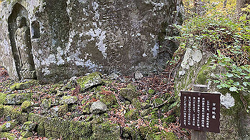 20201104_010900535_ios_thumb.jpg