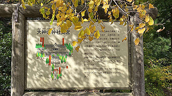 20201104_012013345_ios_thumb.jpg