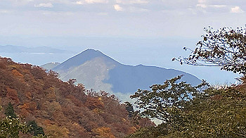 20201104_015531297_ios_thumb.jpg