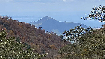 20201104_015724593_ios_thumb.jpg