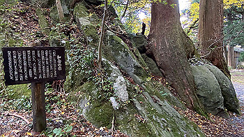 20201104_024318075_ios_thumb.jpg