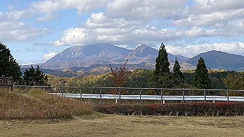 20201104_044539638_ios_thumb.jpg