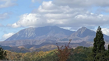 20201104_044541940_ios_thumb.jpg
