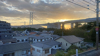 20201104_073447926_ios_thumb.jpg