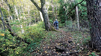 gx011126.mp4_snapshot_00.32_thumb.jpg